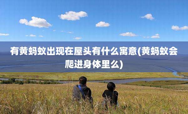 有黄蚂蚁出现在屋头有什么寓意(黄蚂蚁会爬进身体里么)