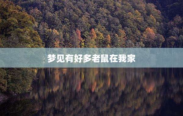 梦见有好多老鼠在我家