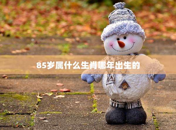 85岁属什么生肖哪年出生的