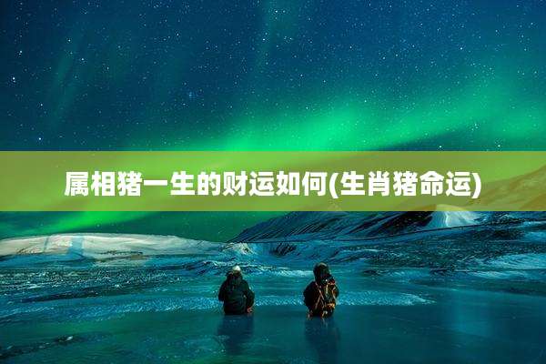属相猪一生的财运如何(生肖猪命运)
