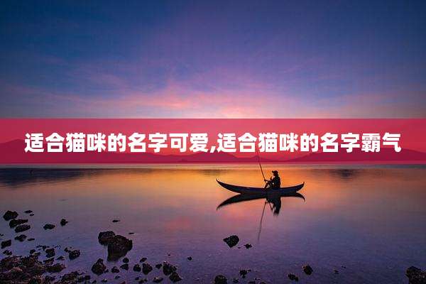 适合猫咪的名字可爱,适合猫咪的名字霸气