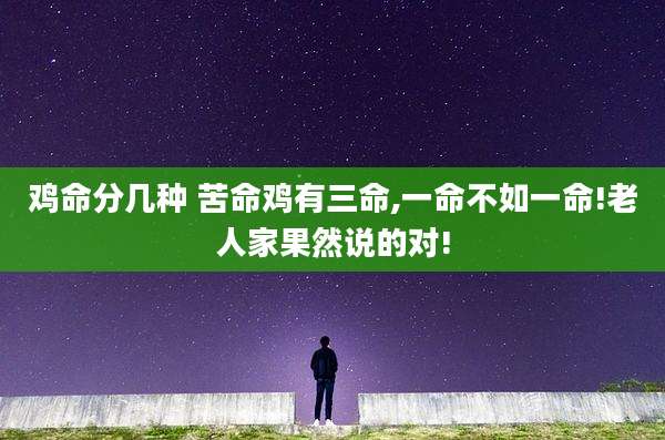 鸡命分几种 苦命鸡有三命,一命不如一命!老人家果然说的对!