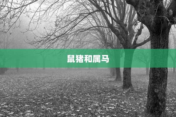 鼠猪和属马