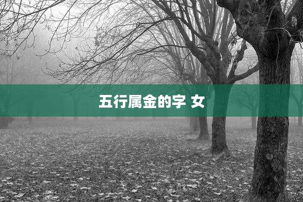 五行属金的字 女