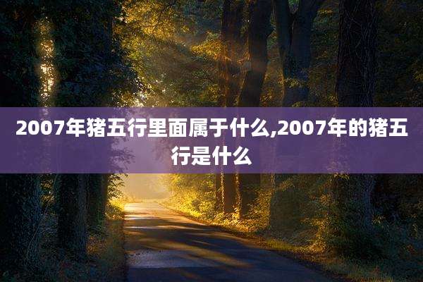 2007年猪五行里面属于什么,2007年的猪五行是什么