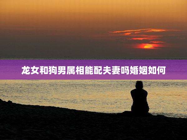 龙女和狗男属相能配夫妻吗婚姻如何