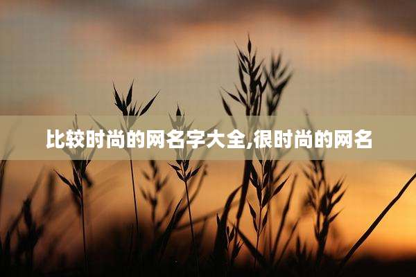 比较时尚的网名字大全,很时尚的网名