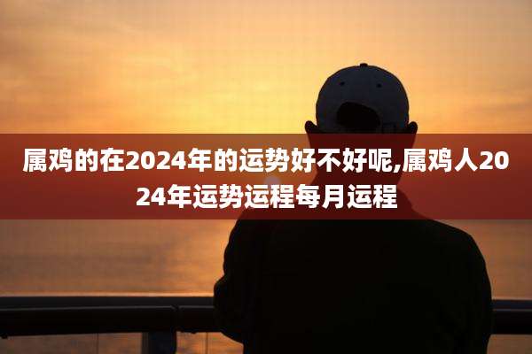 属鸡的在2024年的运势好不好呢,属鸡人2024年运势运程每月运程