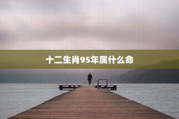 十二生肖95年属什么命