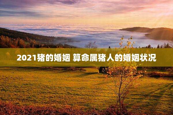 2021猪的婚姻 算命属猪人的婚姻状况
