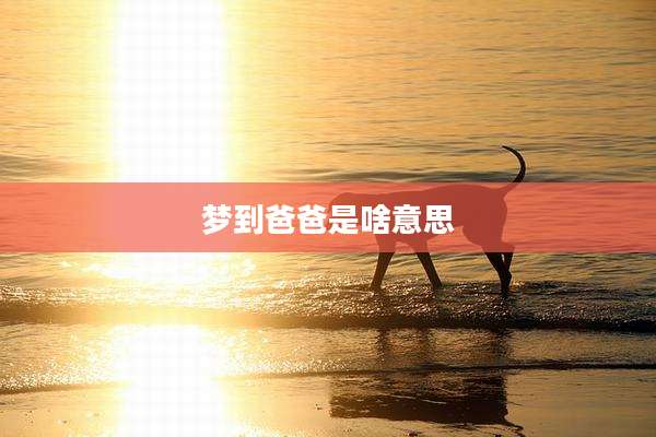 梦到爸爸是啥意思