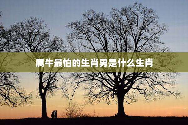 属牛最怕的生肖男是什么生肖