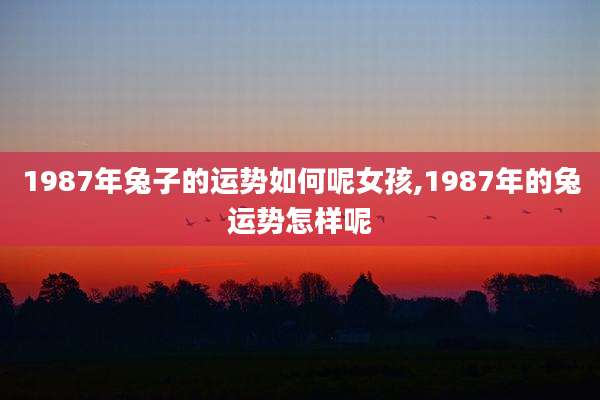 1987年兔子的运势如何呢女孩,1987年的兔运势怎样呢