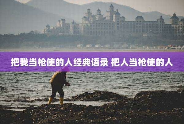 把我当枪使的人经典语录 把人当枪使的人