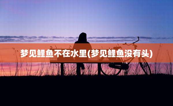 梦见鲤鱼不在水里(梦见鲤鱼没有头)