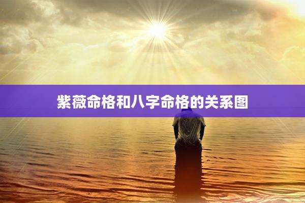 紫薇命格和八字命格的关系图