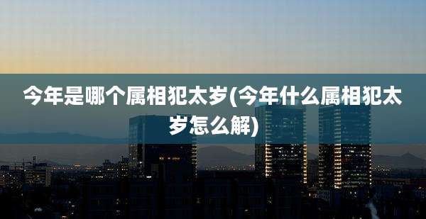 今年是哪个属相犯太岁(今年什么属相犯太岁怎么解)