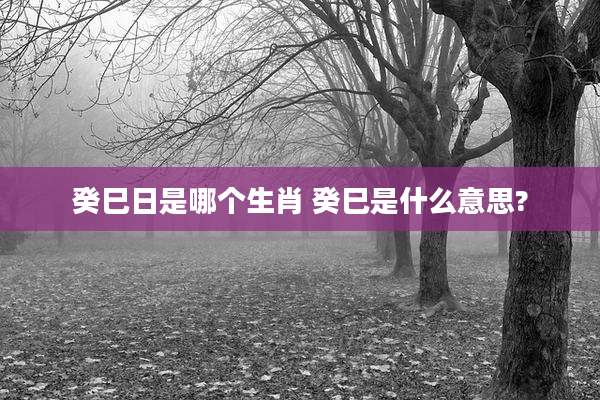 癸巳日是哪个生肖 癸巳是什么意思?