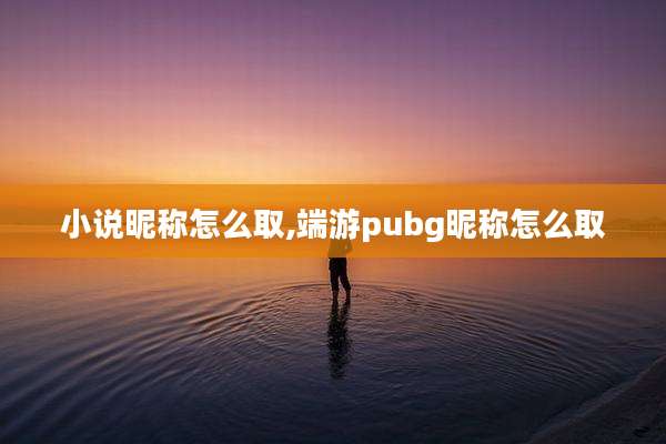 小说昵称怎么取,端游pubg昵称怎么取