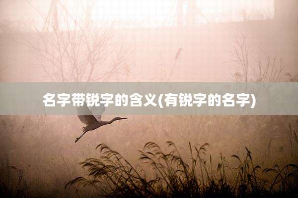 名字带锐字的含义(有锐字的名字)