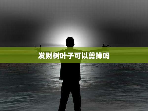 发财树叶子可以剪掉吗