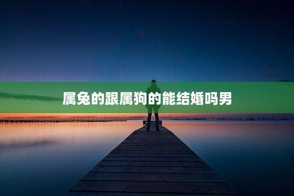 属兔的跟属狗的能结婚吗男