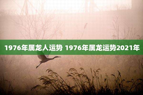 1976年属龙人运势 1976年属龙运势2021年