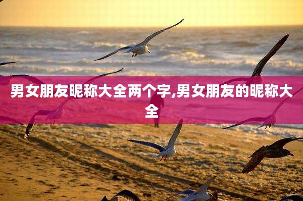 男女朋友昵称大全两个字,男女朋友的昵称大全