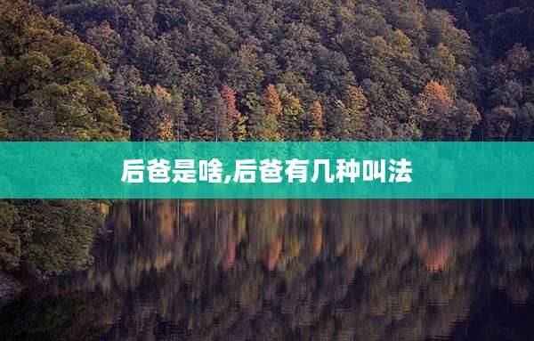 后爸是啥,后爸有几种叫法
