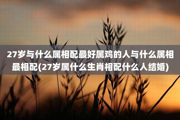 27岁与什么属相配最好属鸡的人与什么属相最相配(27岁属什么生肖相配什么人结婚)