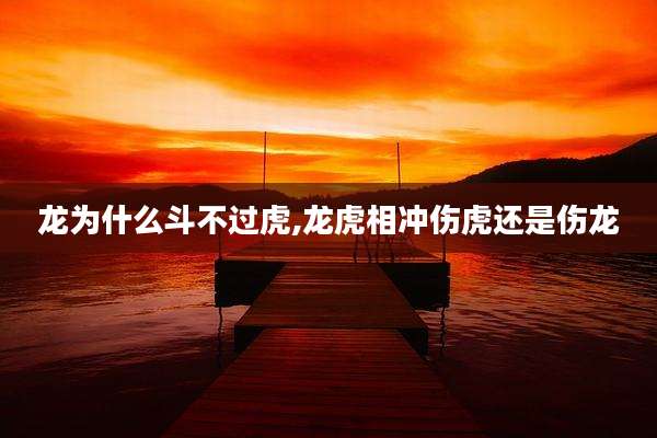龙为什么斗不过虎,龙虎相冲伤虎还是伤龙