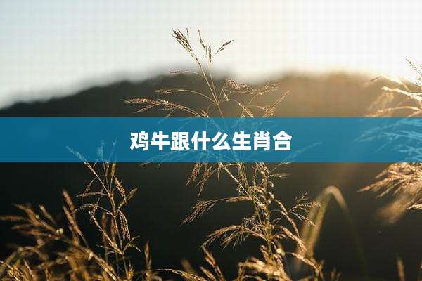 鸡牛跟什么生肖合