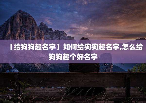 【给狗狗起名字】如何给狗狗起名字,怎么给狗狗起个好名字