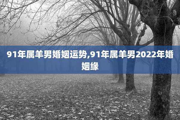 91年属羊男婚姻运势,91年属羊男2022年婚姻缘