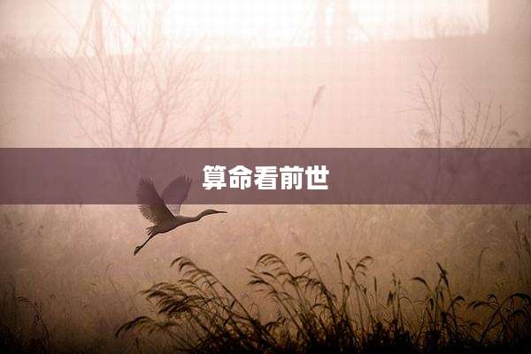 算命看前世