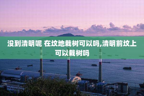没到清明呢 在坟地栽树可以吗,清明前坟上可以栽树吗