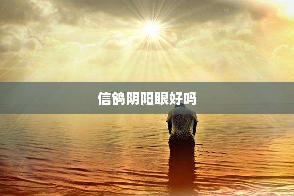 信鸽阴阳眼好吗