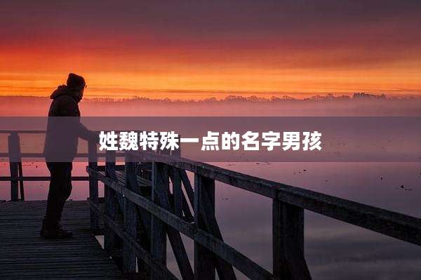 姓魏特殊一点的名字男孩