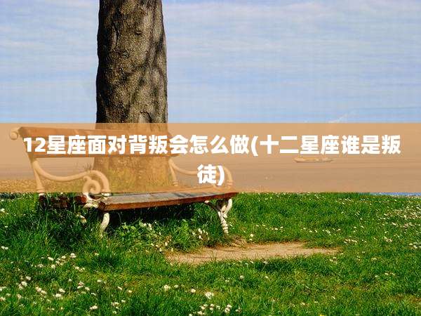 12星座面对背叛会怎么做(十二星座谁是叛徒)