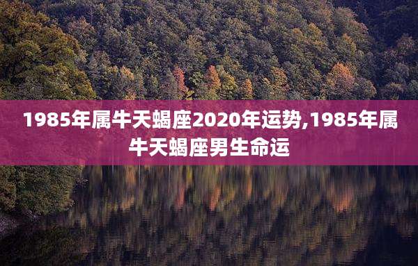 1985年属牛天蝎座2020年运势,1985年属牛天蝎座男生命运