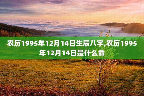 农历1995年12月14日生辰八字,农历1995年12月14日是什么命
