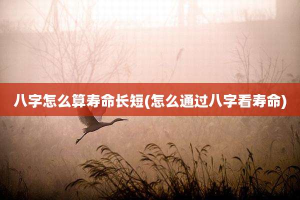 八字怎么算寿命长短(怎么通过八字看寿命)