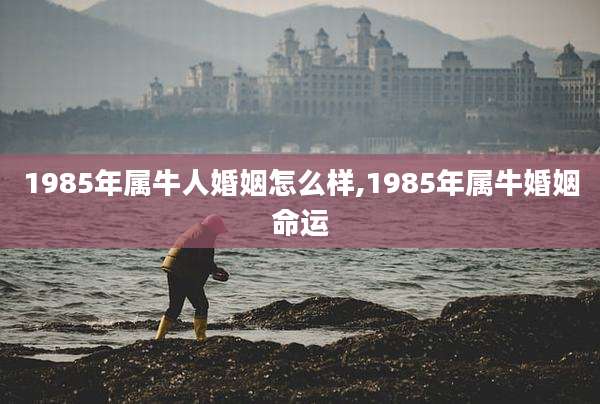 1985年属牛人婚姻怎么样,1985年属牛婚姻命运