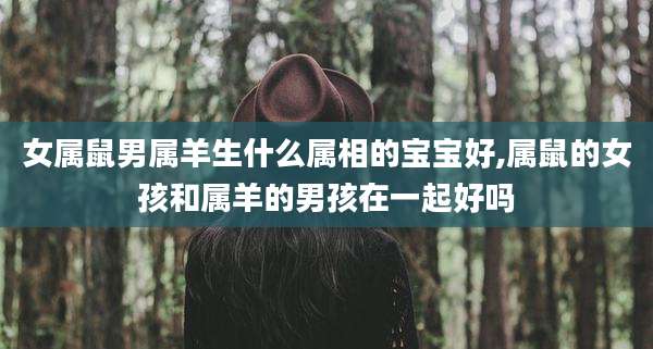 女属鼠男属羊生什么属相的宝宝好,属鼠的女孩和属羊的男孩在一起好吗