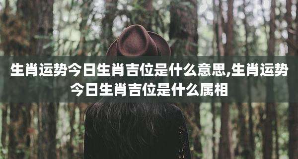 生肖运势今日生肖吉位是什么意思,生肖运势今日生肖吉位是什么属相