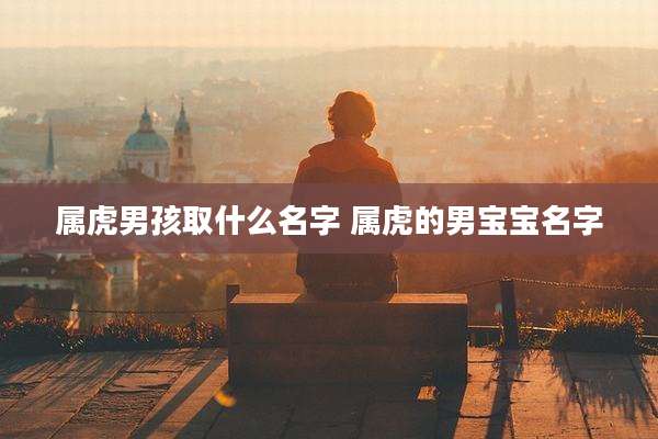 属虎男孩取什么名字 属虎的男宝宝名字