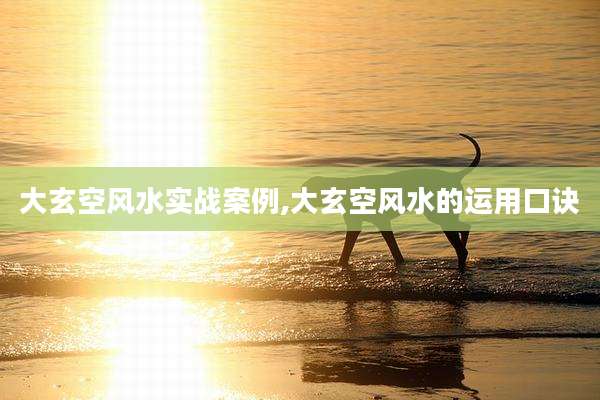 大玄空风水实战案例,大玄空风水的运用口诀