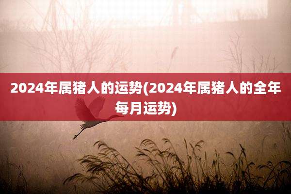 2024年属猪人的运势(2024年属猪人的全年每月运势)