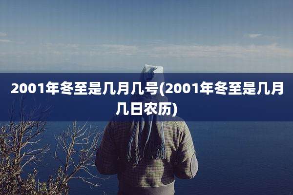 2001年冬至是几月几号(2001年冬至是几月几日农历)