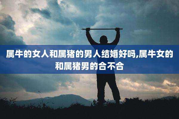 属牛的女人和属猪的男人结婚好吗,属牛女的和属猪男的合不合